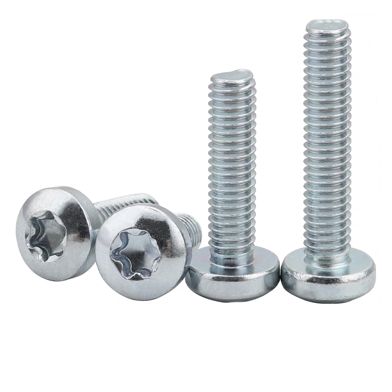 Torx Screws